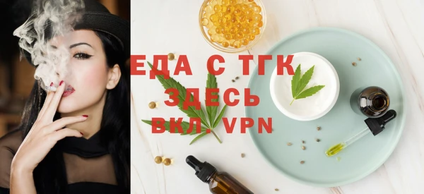 индика Протвино