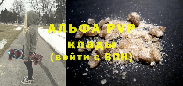 индика Протвино