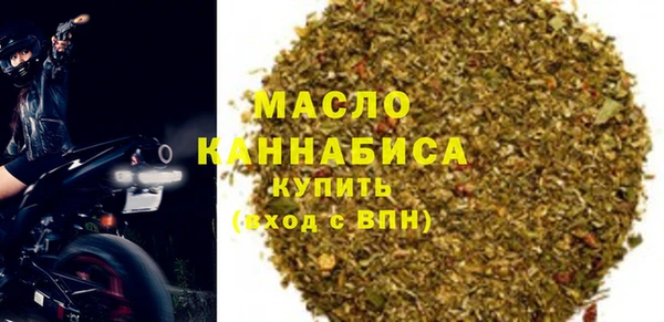 индика Протвино