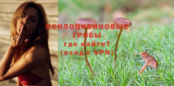 индика Протвино