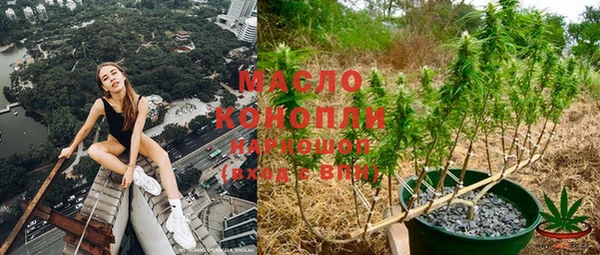 индика Протвино