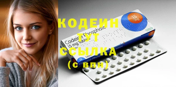 индика Протвино