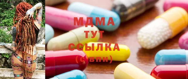 индика Протвино
