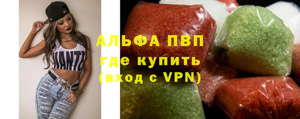 индика Протвино