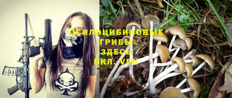 сайты даркнета наркотические препараты  Алатырь  Псилоцибиновые грибы MAGIC MUSHROOMS  купить наркотик 