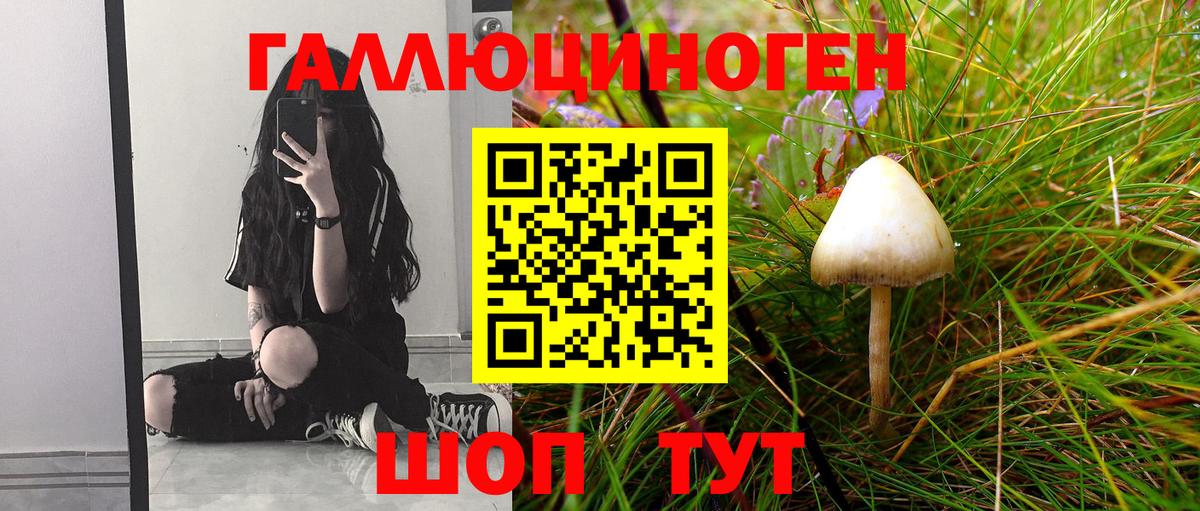 Галлюциногенные грибы ЛСД Алатырь