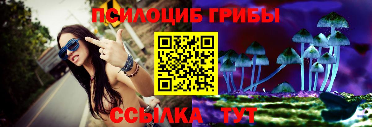 Псилоцибиновые грибы Magic Shrooms  Алатырь  Псилоцибиновые грибы GOLDEN TEACHER 