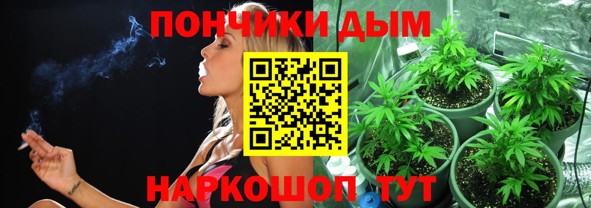Шишки марихуана ГИДРОПОН Алатырь